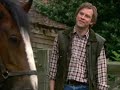 That Mitchell and Webb look se2 - Horse learning French That Mitchell and Webb look se2 - Horse learning French