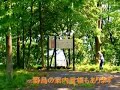Click here to watch this video 野鳥公園　うぐいす　日野市