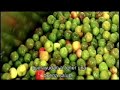 NUTRILITE. Lo mejor de la Naturaleza, lo mejor de la Ciencia