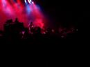 Dandy Warhols - Bohemian Like You