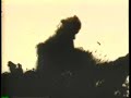 emir-cerman-ataturk-leader-of-the-century.html