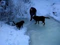 Winter Hiking in Seward, AK