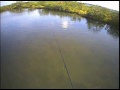 Redfish in the Mosquito Lagoon by apollobeachsam Redfish in the Mosquito Lagoon by apollobeachsam