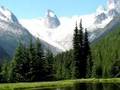 Bugaboo Hound's Tooth