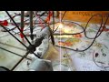 Click here to watch this video Bobby Gravity motor part 2