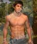 Musclemorph-2