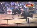 2 MONTAS ESPECTACULAES DEL CHARRO UNA QUEDA Y UN PORRAZO