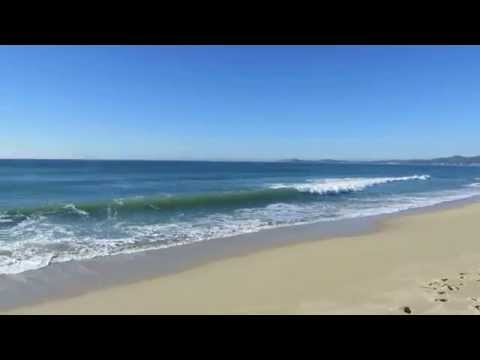 Video for Francis Beach at Half Moon Bay State Beach