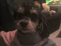 videos de 116 chicas (2)