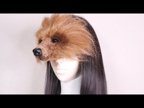 Mascotas hechas de pelo