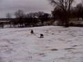 Ryan's Birthday Sledding Adventure 3