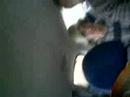 viajando a horcon