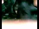 7 girls fighting over Luke Pritchard\