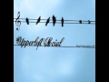 Intro - Vibeself (Upperleft Social)