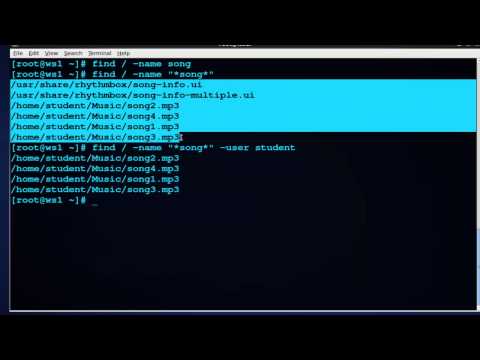 how to find a file on linux