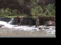 Grand Canyon Wildlife-Sheep and Deer-Beaver Falls