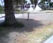 P-R-producciones-la-