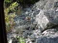 lol its a marmot call lol xD