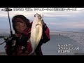 Click here to watch this video 伊豆七島「新島」シチュエーション別攻略法パート2