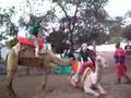 Me riding a camel...