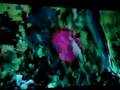 Takeshi Murata (poor quality clip!)