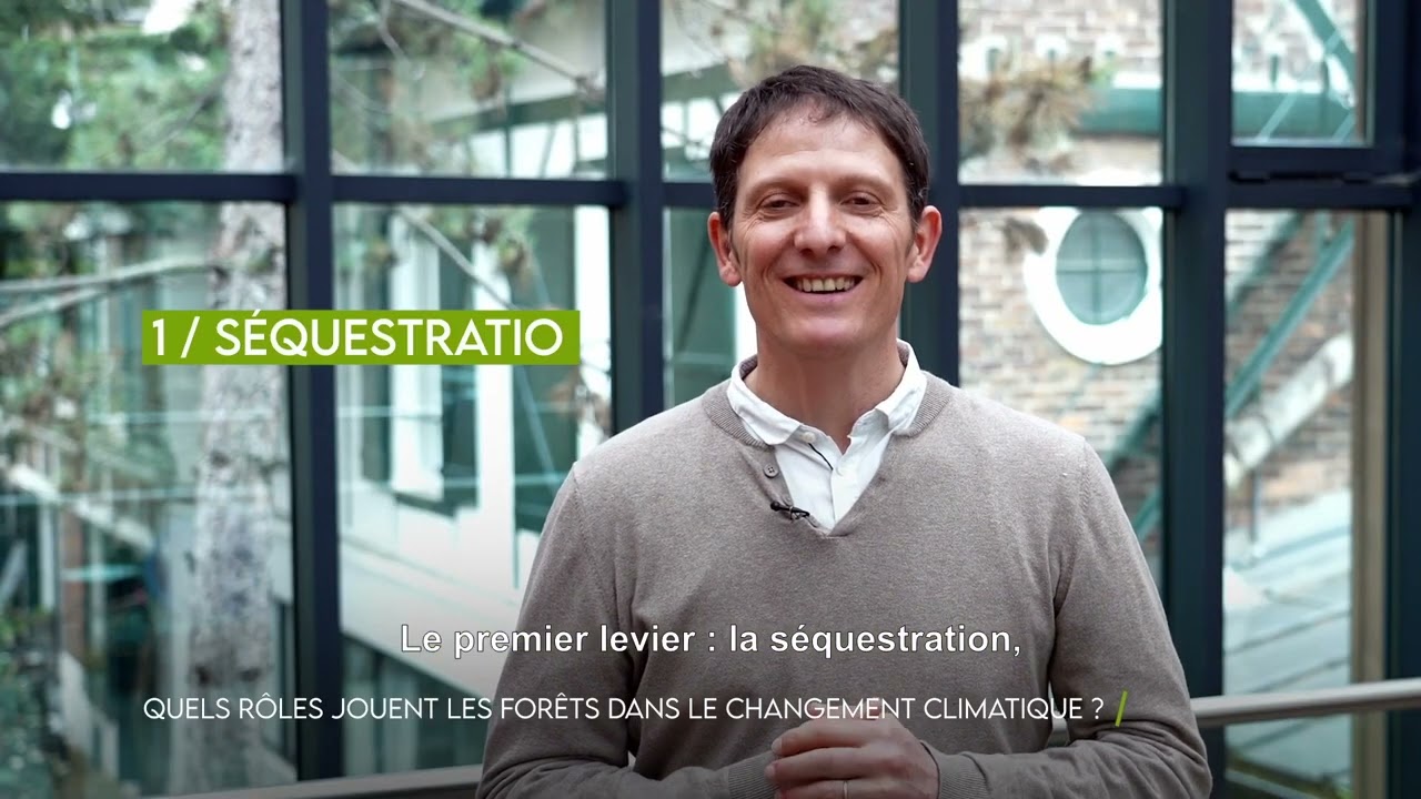 🌳 3/6 Quels rôles jouent les forêts dans le changement climatique ? #MinuteInfo