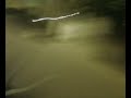 112308_0030.3g2