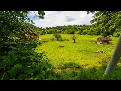 Video Stavební pozemek 2004 m2 Hostim u Berouna, okres Beroun