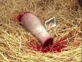 beulah-landslide.html