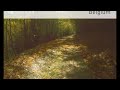 Ardenne Mountainbike