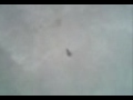Squashing A Bug