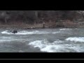 Fly Fishing Colorado Trout