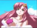 gundam seed wtf boom