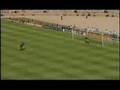Peter Schmeichel - The Great Dane