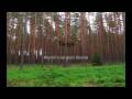 videos de Taiga