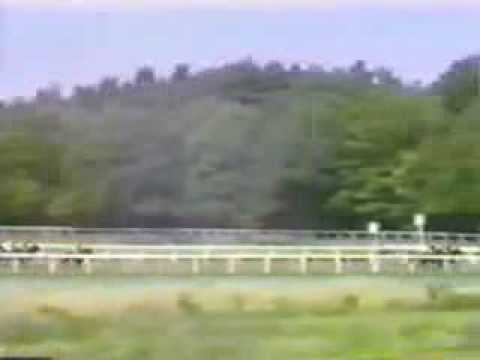 Dancing Brave - 1986 King George VI ...