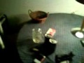 chicha dans mon appart 2