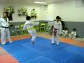 exame tkd  miguel 5