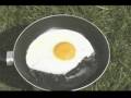 la poule et l'oeuf