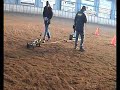 Harich bierkrat trekken