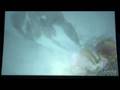 videos de WOW Lichking