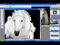#78 - Most Discussed (Today) - Tiere - Global #39 - Top Favorited (Today) - Tiere - Global #49 - Top Rated (Today) - Tiere - Global #31 - Most Discussed (Today) - Tiere - Global #26 - Top Favorited (Today) - Tiere - Global #38 - Top Rated (Today) - Tiere - Global I was bored yesterday... So i decided to make a new Speedpainting video! The Program is called Adobe Photoshop, for everyone who don't know this :) The painting took me about 2 or 3 hours! Feedback would be great! I hope you like it :) ...