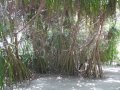 Lost on Velidhu