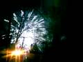 videos de party - trattoria 