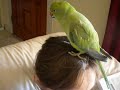INR talking on my head