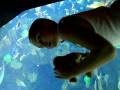 home videos 9