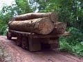 Andrew and Jess are delayed in their travels by two log trucks, a giant bulldozer/wincher, and an extra log for good measure.