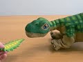 PLEO?????????