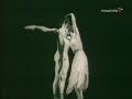 Plisetskaya, Death of the Rose