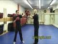 The Choy Lay Fut Project: #2 - So Choih